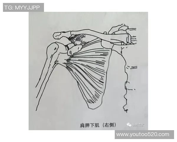 羽毛球运动员伤病康复训练新方法探索与实践解析